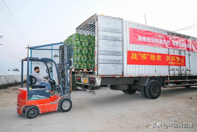 「中国网直播」水果滞销！阿里两天打通紧急供应链，北上广吃货有口福