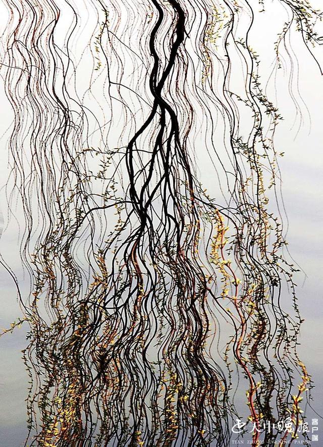 约吗旅行■阳春三月，这里的景色很迷人