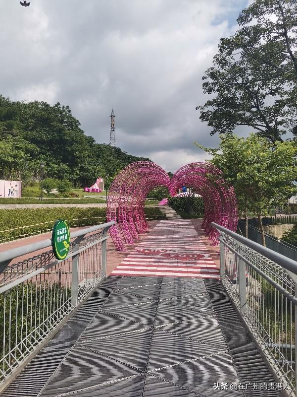 【山楂味的诗】走马观花,看顺德大良。