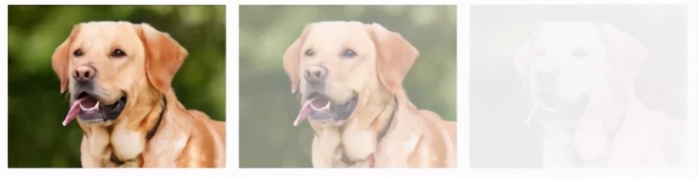 你曾想过如何将图像存储在数据集中吗？