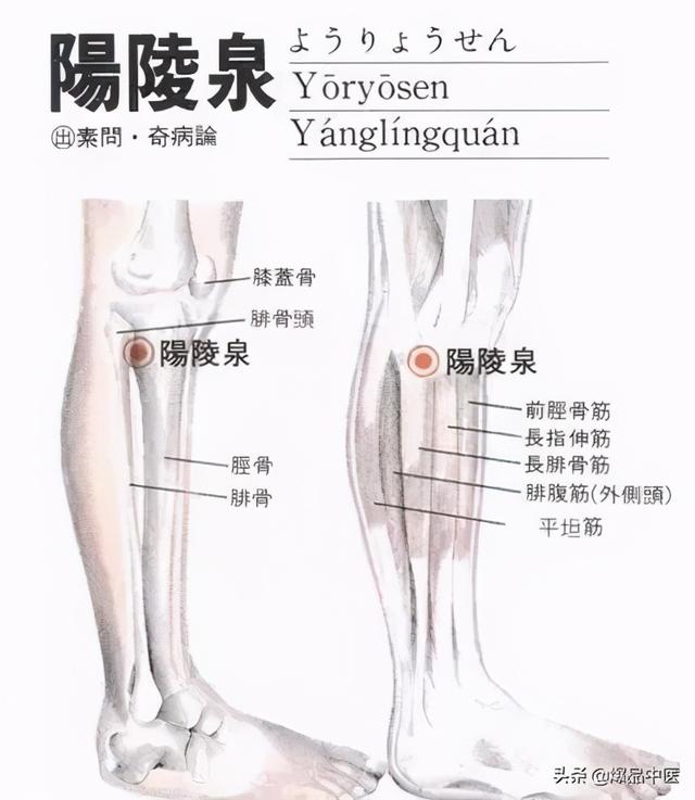 神奇的八会穴，拍打可调理多种疾病