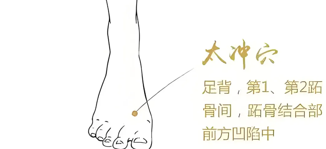艾仲医