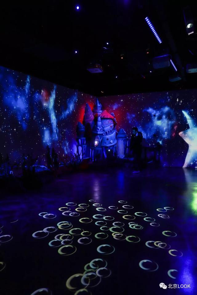 「玩乐足迹」北京首家室内动物园 · 和羊驼浣熊一起玩