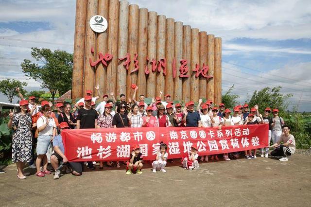 体验|南京都市圈自驾游新添网红打卡地：到池杉湖做赏荷体验官