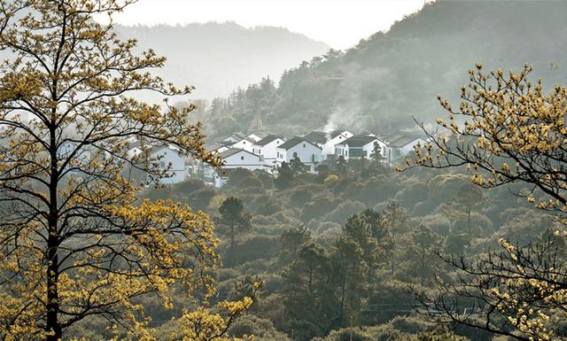 苏州高新区树山村"国字号"美丽乡村的30年"蝶变"