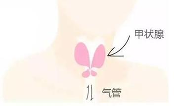 懵懂德年纪|妊娠合并甲状腺疾病的“今世前生”