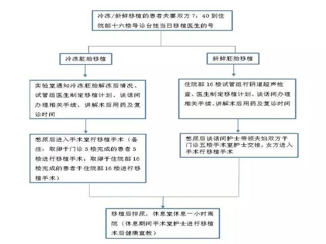 移植日就诊流程及注意事项