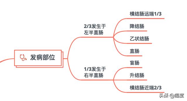 结直肠癌基础知识（一）