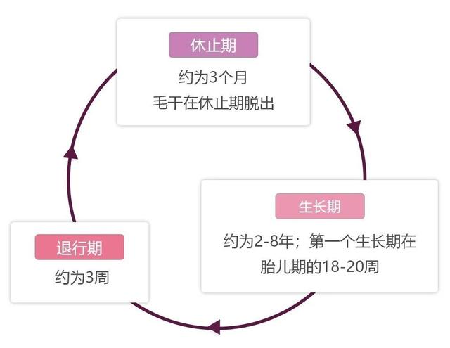 脱发|人家还是个宝宝，怎么也“秃”了……