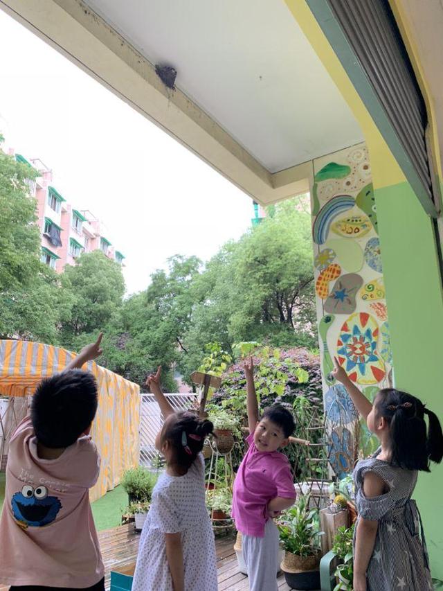 笑看人生|好暖心，幼儿园托班小朋友竟然照顾起了“小宝宝”