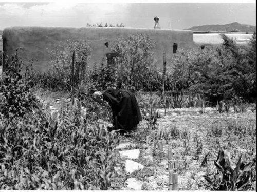 不会做饭的厨子不是个好画家