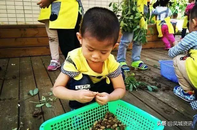 你的育儿经@泰兴已有多个小孩因误食而中毒！家长们请注意了！