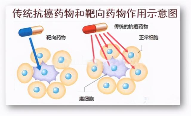 靶向药耐药后怎么办？医生说：还有这4种方案