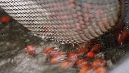 3分钟就能学会，欲罢不能的酸辣粉，秒杀街边小吃店