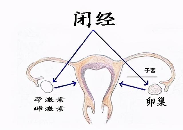 加博士用10年心血告诉你如何调好月经