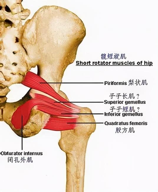 大腿外侧疼痛的几种原因