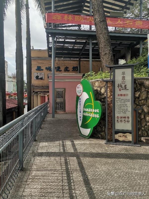 【山楂味的诗】走马观花,看顺德大良。