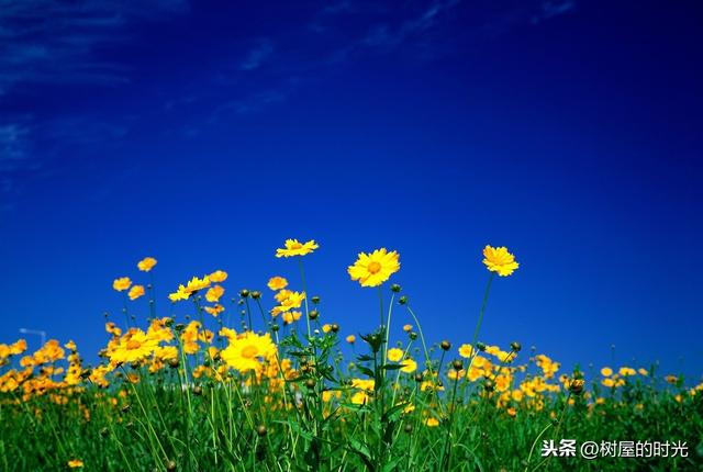 超级宝妈：春季护理满月宝宝有讲究，你都了解吗？这些方面可要注意了