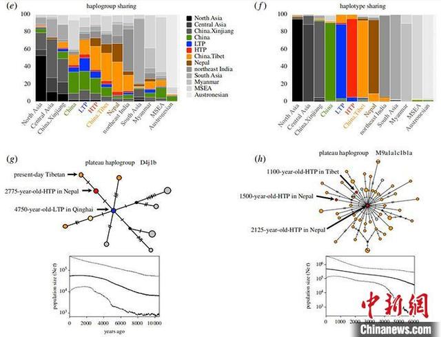 「中国新闻网」古DNA研究表明 西藏人群和古青藏高原人群有较近母系遗传联系