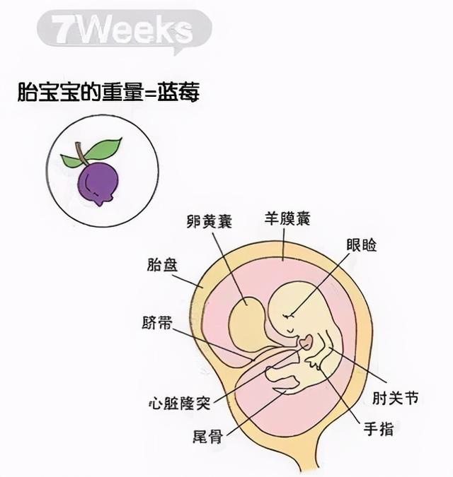 试管「毕业超」，究竟是啥意思？