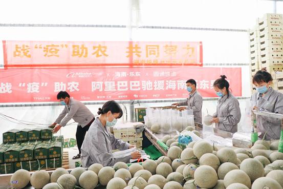 光明网■乡下菜好卖、城里菜好吃，阿里发布抗疫“爱心助农”计划