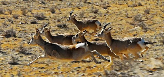 「你的育儿经」书架上的最美中国纪录片《这里是中国》，每一页都震撼人心