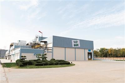 外企看好“滨城”深耕“滨城”