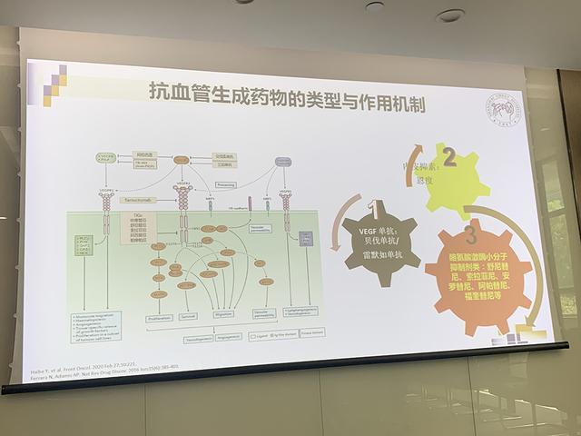 治疗|晚期肺癌治疗新模式：用两款国产创新药物，不需要化疗