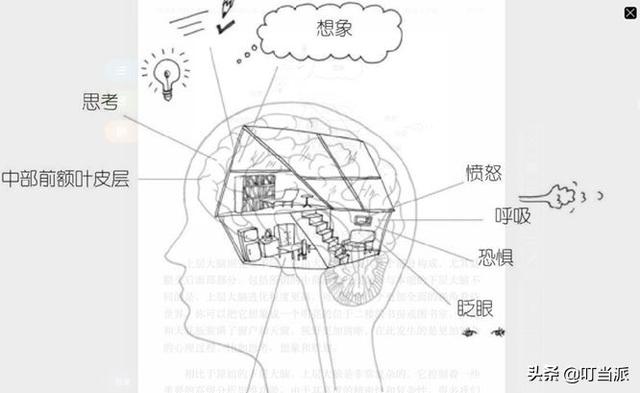 纯美小青年|家长对孩子“讲道理”是下策,动怒是下下策,那么上策是什么?