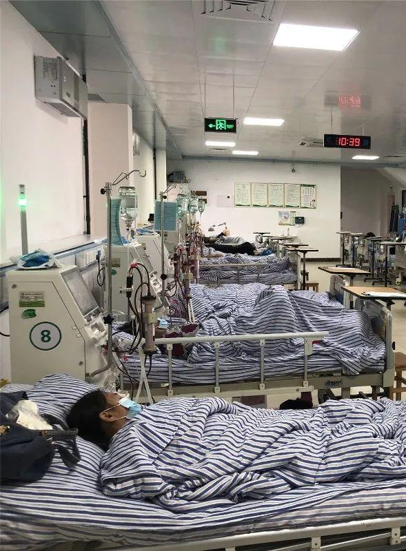 医院|桂林5人被野生菌放倒！中毒者事后回忆：吃起来又脆又甜……