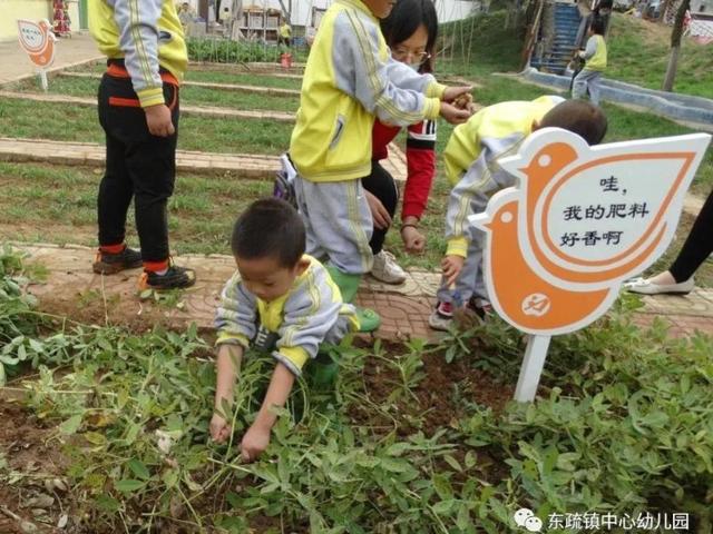 宁阳东疏镇：赋能生态教育，点亮快乐童年