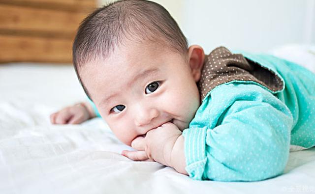 你的育儿经:秒懂营养:增强宝宝抵抗力,补足关键营养素