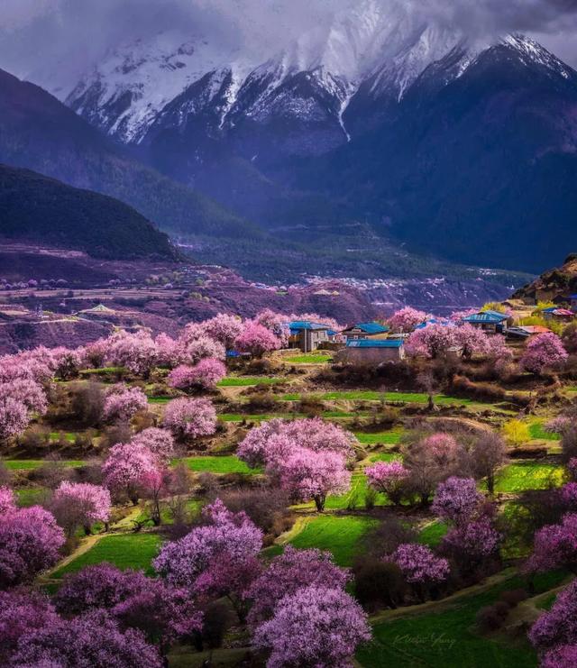 「旅行柚子君」天上云海！地上花海！这些冒着仙气的地方，竟藏了中国最美风景