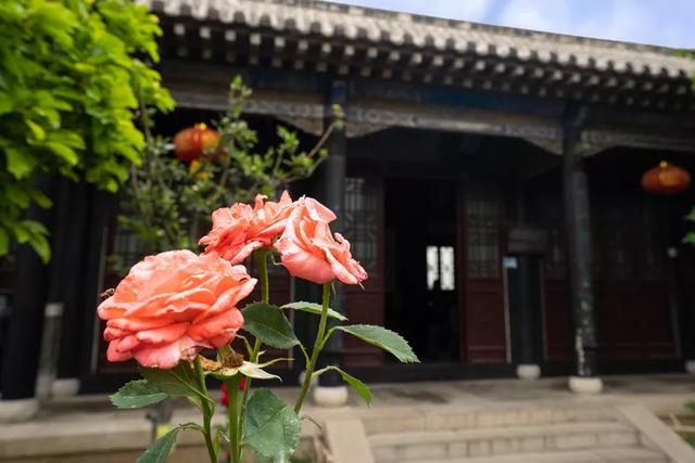 「世界那么大」待春光和煦,共赴一场蓬莱之约 | 这就是山东