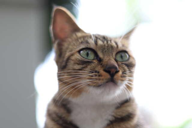 勇哥科技@宅家修图很简单 手机电脑都可以修出大片的感觉