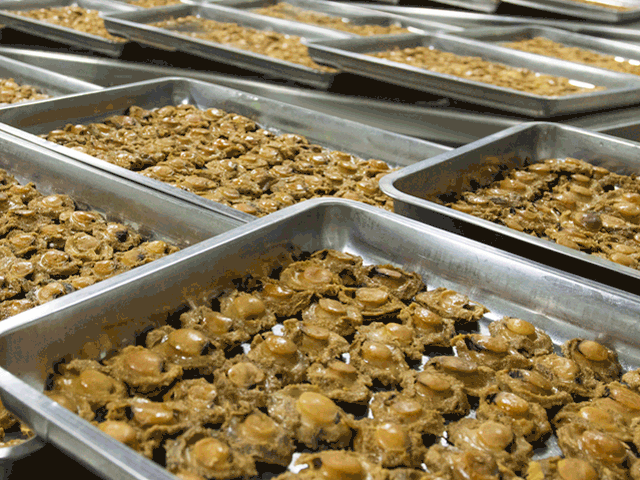 鲍鱼、海参、花胶、蹄筋……金色高汤浓醇鲜美，这“佛跳墙”绝了！丨种草机