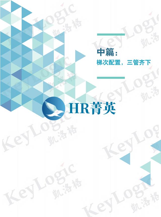 企业大学白皮书从1.0到10.0