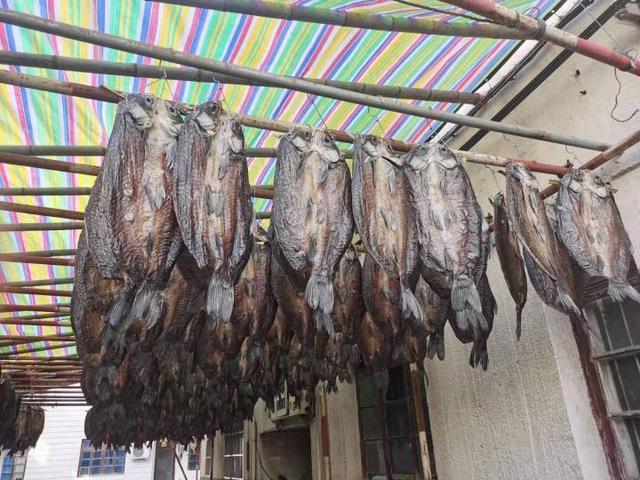 晒鱼干，做冻米糖！建德大洋镇年味扑面而来