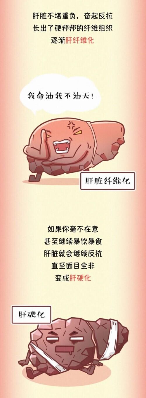 肝脏|肝脏受伤全过程