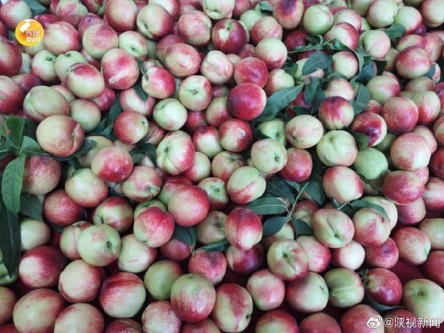 「旅行柚子君」想来体验古城烟火气吗？顺城巷早市，够西安，够烟火~