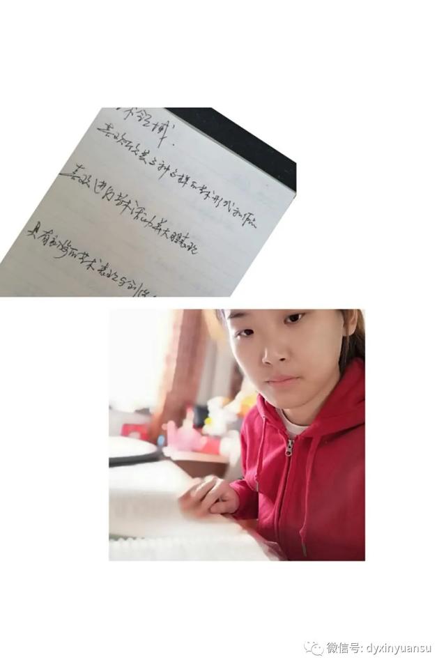 超级宝妈■线上共成长——新元素幼儿园线上培训活动之八