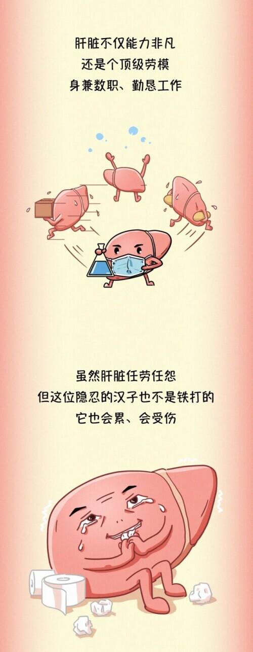 肝脏|肝脏受伤全过程