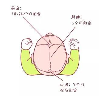 【你的育儿经】头圆就是高智商的象征？我们扁头宝宝表示特别不服