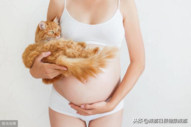 成都日报健康成都|怀孕能养猫和狗吗？看完你就知道了