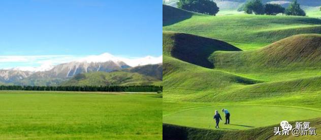 为什么95年的虞书欣一个素颜就老成这样|资讯早知道