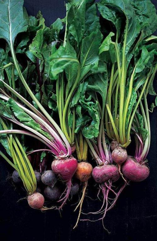 不会做饭的厨子不是个好画家