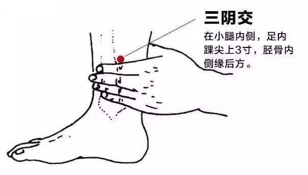 睡眠不好原因多 中医手把手教你调理