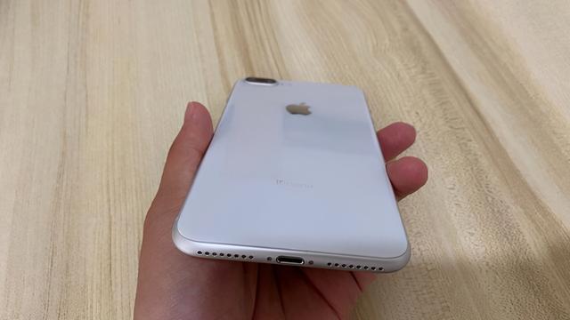 iPhone8P用户：电池一换还能再战，买苹果12？不可能