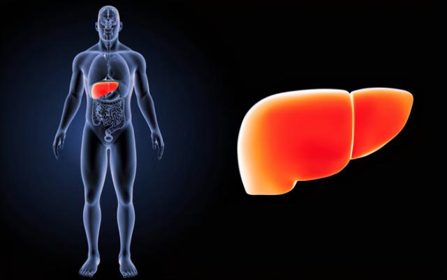 吃得很少咋还有脂肪肝？