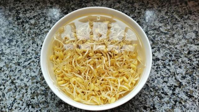 家常小炒豆芽菜炒蛋，以前在农家庄吃过一次，一直对它恋恋不忘